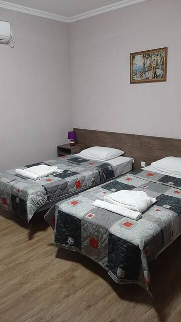Фото номера Двухместный номер с 2 отдельными кроватями и балконом Отель Hotel Giorgi г. Цхалтубо 5